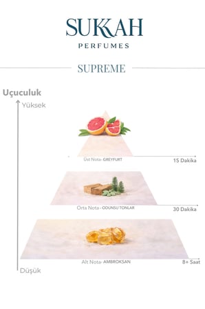 Tiger Erkek Parfüm EDP 50 ml – Greyfurt, Odunsu Notalar, Ambroksan, Güç ve Enerji Katıcı Koku