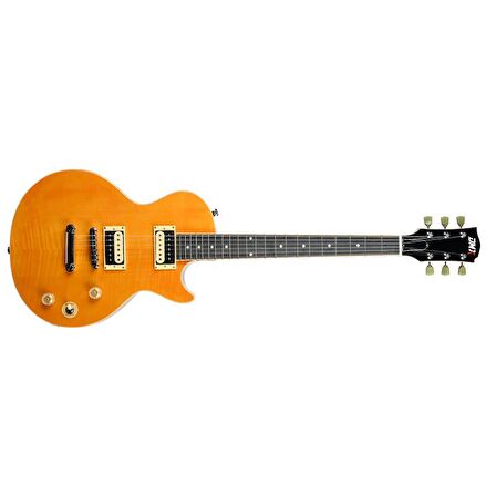 Dmx Guitars DALP100 A Slash AFD Les Paul Elektro Gitar (Taşıma Çantası Hediyeli)