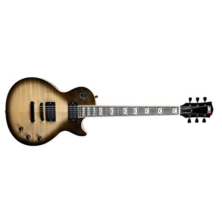 Dmx Guitars DALP200 Antique Silverburst Les Paul Standart Elektro Gitar (Taşıma Çantası Hediyeli)