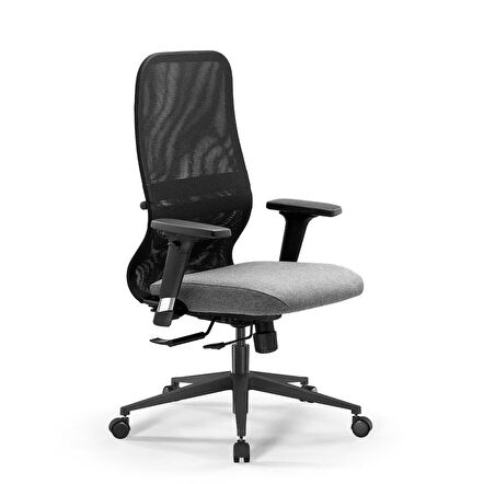 Ergolife SynchroSit 8 Ergonomik Fileli Ofis Koltuğu / Çalışma Sandalyesi - 297.D.1.2F3 Açık Gri-Siyah