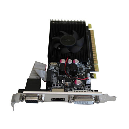 Seclife 2GB GT610 Geforce DDR3 64Bit DVI HDMI VGA LP