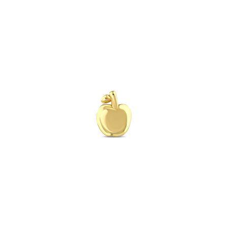 Altın Tragus Piercing