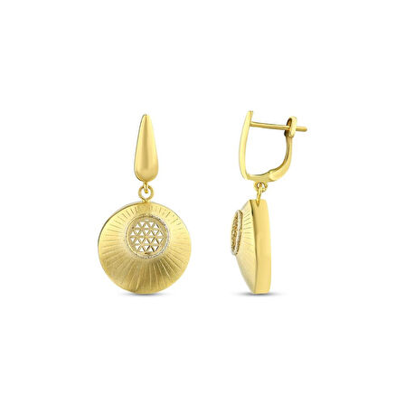 Altın Tasarım Küpe - 14K - 5.06gr