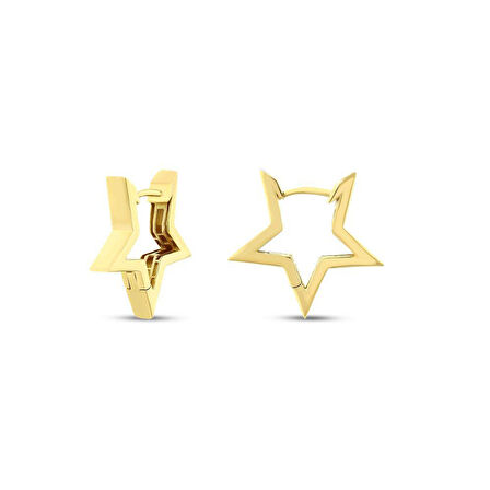 Yıldız Altın Küpe - 14K - 3.20gr