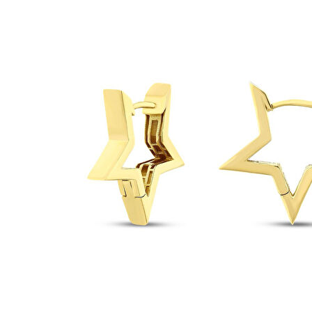Yıldız Altın Küpe - 14K - 3.20gr