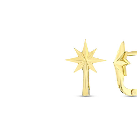 Kutup Yıldızı Altın Küpe - 14K - 2.16gr