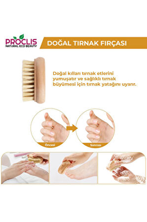 Doğal At Kılı Tırnak Fırçası, %100 Doğal  Vegan Tırnak Fırçası