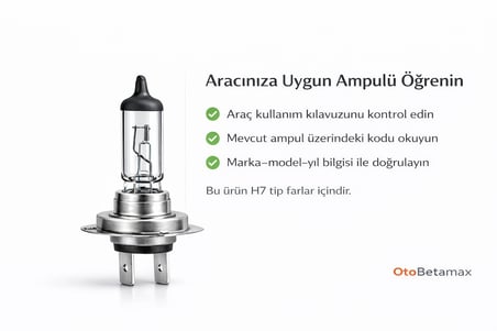 Inwells H7 12V 55W Standart Oto Ampulü - Far ve Sis Ampulü - 1 Adet