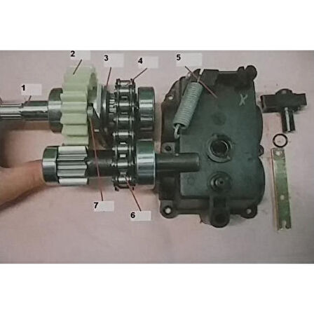 Pubert Elite pro 55C-2 Şanzıman Dişli No-2