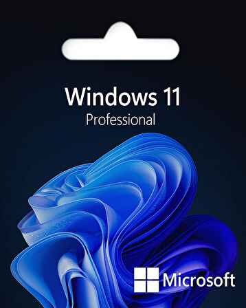 Windows 11 Pro