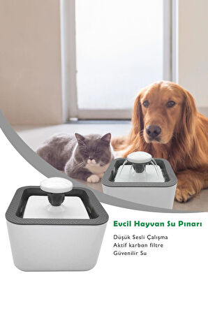 Evcil Hayvanlar Için Otomatik Kedi Su Sebili Led Işıklı 2 Litre Kapasiteli - Beyaz