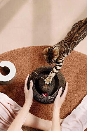 Kedi Tırmalama Oyuncağı, Sihirli Kedi Oyuncağı, Çıngıraklı Tırmalama Panosu, Kedi Oyuncağı