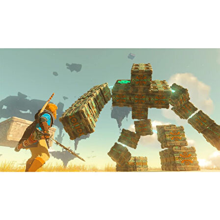 The Legend Of Zelda Tears Of The Kingdom