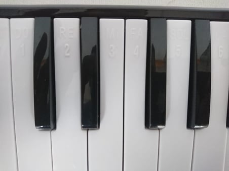 Cremonia CR32BK MELODİKA 32 TUŞLU SİYAH RENK EVA ÇANTALI