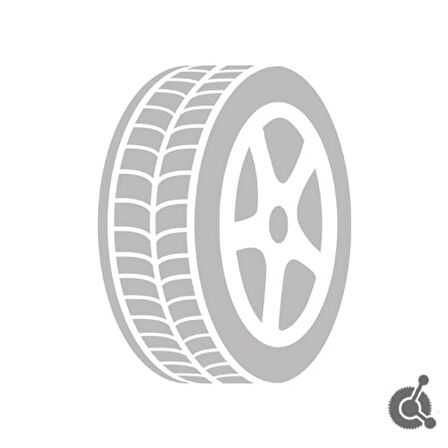 195/65 R15 95T PASSIO 2 XL Oto Yaz Lastiği (Üretim Yılı: 2023)
