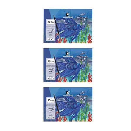 Alex Schoeller Art Suluboya Kağıdı Blok Ince Dokulu Ekstra White 300G 12 Yp A4 ALX-0625 3'lü