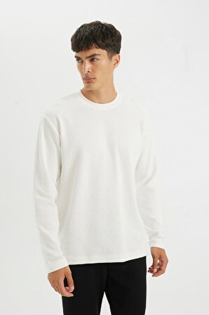 DeFacto Regular Fit Bisiklet Yaka Waffle Basic Düz Uzun Kollu Tişört D2801AX24AUER136