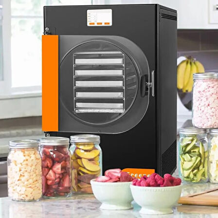 Dalle DFD-06 Yüksek Teknolojili Freeze Dryer Dondurarak Kurutma Fırını