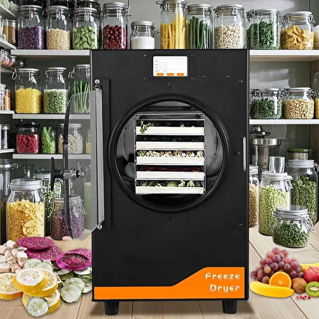 Dalle DFD-06 Yüksek Teknolojili Freeze Dryer Dondurarak Kurutma Fırını