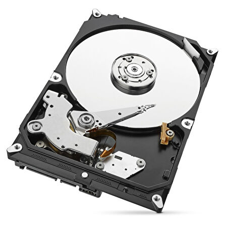 1 TB Seagate SKYHAWK 3,5" 64MB 5900Rpm (ST1000VX005) 7/24 Güvenlik Diski