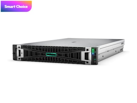 HPE DL380 Gen11 Silver 4510-64G-2x960G-2U (P71674)