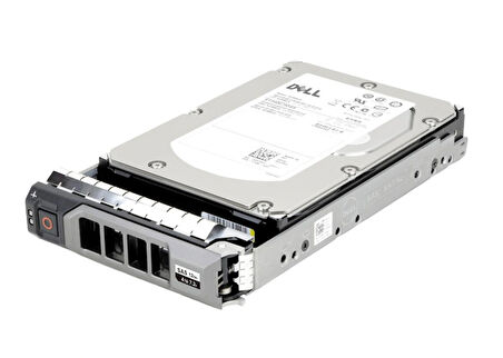 Dell 10TB 3.5'' 7.2K 12Gbps SAS Harddisk