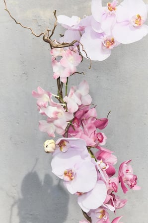 ZARA ORCHID BLOOM | EAU DE PARFUM 50 ML 