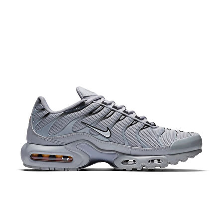 Nike Air Max Plus TN 'Wolf Grey' 852630-021