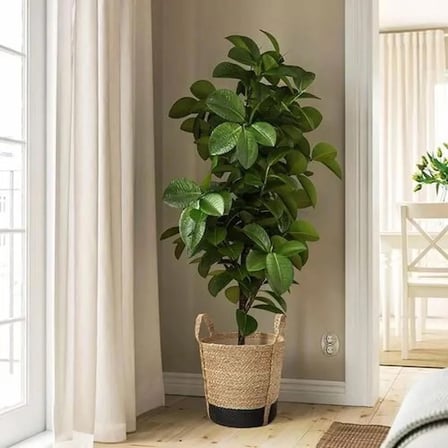 IKEA TÄRNMÅS rattan saksı , bej-siyah, 24 cm, iç mekan
