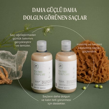 Tea Tree Scalp Care Regeniplex Şampuan 300 ml