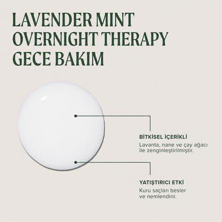 Tea Tree Lavender Mint Overnight Therapy Gece Bakım 100 ml