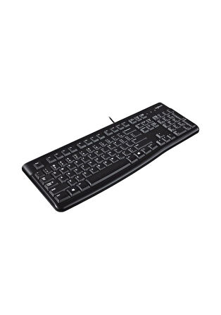 Logitech K120 920-002505 USB Kablolu Standart Q İngilizce Klavye