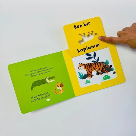 Bak-Bul-Sobe Meraklı Kedi