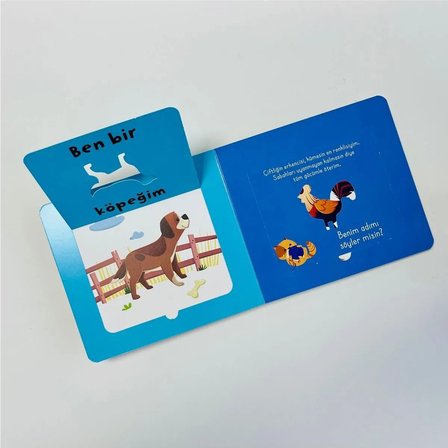 Bak-Bul-Sobe Meraklı Kedi