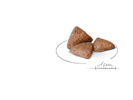 Royal Canin Küçük Irklar için Indoor Yetişkin Kuru Köpek Maması 1.5Kg