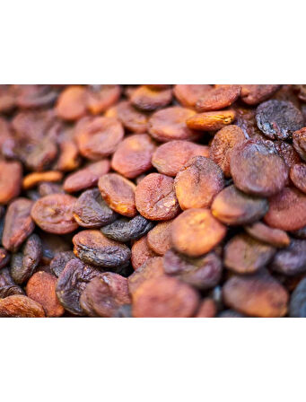 Gün Kurusu Kayısı 500 gr. (Orta Boy ~100 Adet/kg)