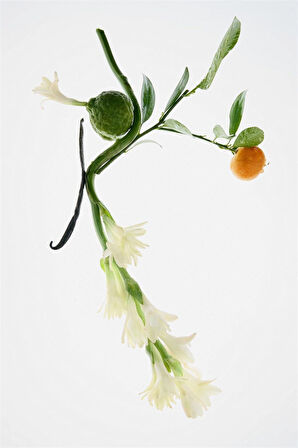 SUBLIME EPOQUE EDP 80 ML (2,71 FL. OZ).