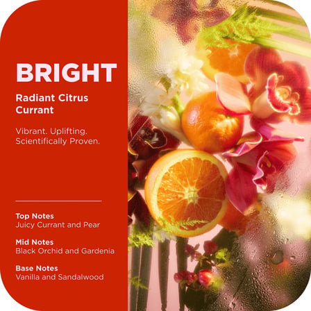 Olly Bright Seyehat Boyu Duş Jeli 88ML
