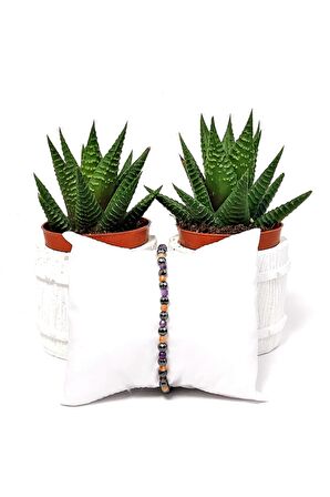 Ametist Güneş Taşı Hematit Bileklik ( 4 Mm)