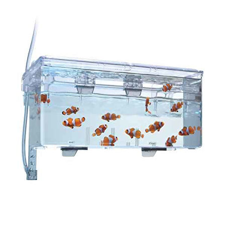 Fluval Askı Plastik Yavruluk Büyük 26x14x12 Cm.