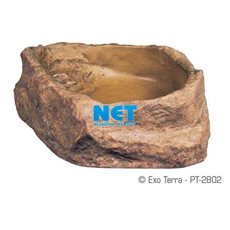 Exo Terra Sürüngen Mama Su Kabı Medium PT2802 
