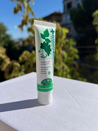 Diş Macunu ve Diş Fırçası Seyahat ve Çanta Boyu 20 Gramlık set