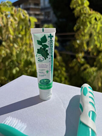 Diş Macunu ve Diş Fırçası Seyahat ve Çanta Boyu 20 Gramlık set