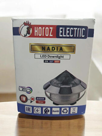 Asyagrup Horoz Nadia 1w Led Downlight / Mat Krom Kasa - 4200K