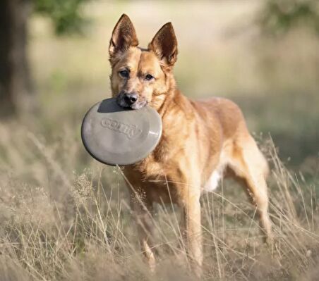 Organik Pastel Renk Super Dayanıklı Köpek Frizbie Oyuncak Yakala Getir 23cm