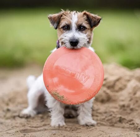 Super Uçucu Köpek Frizbiesi Extra Uçma Süresi Dayanıklı 23cm