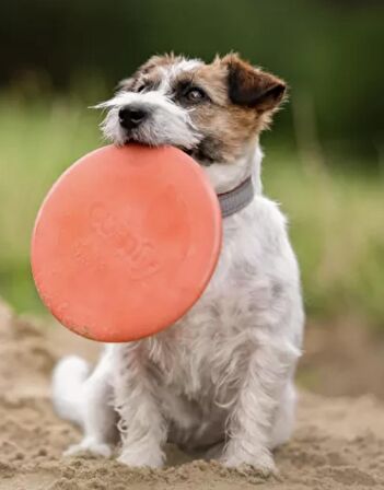 Super Uçucu Köpek Frizbiesi Extra Uçma Süresi Dayanıklı 23cm