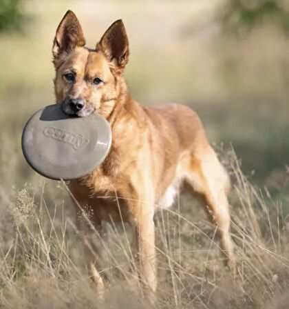 Ekstra Havada Kalma Süreli Köpek Frizbie 18cm