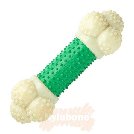 Nylabone Ec Double Action Domuz Pastırması Aromalı Köpek Çiğneme Kemiği M