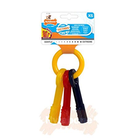 Nylabone Domuz Pastırması Aromalı Yavru Köpek Çiğneme Çubuğu XS